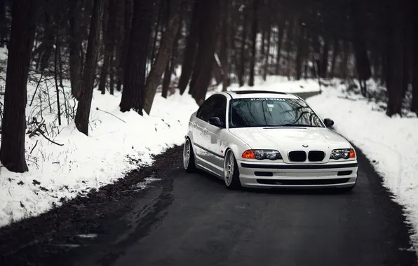 Picture winter, forest, BMW, BMW, white, E46, 323