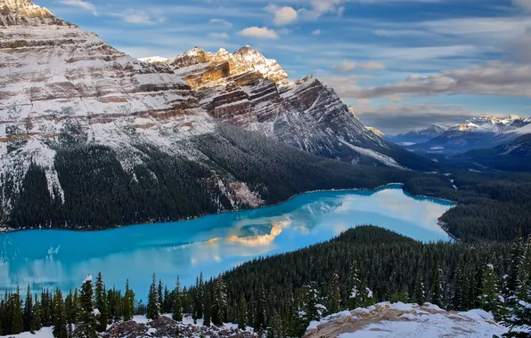 Canada, Albert, Rocky mountains, Banff national Park, Peyto, glacial lake