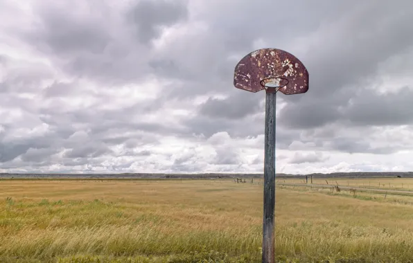 Field, shield, basketball