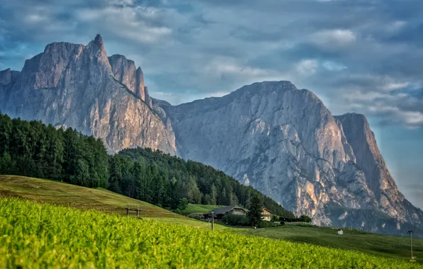 Greens, forest, clouds, trees, mountains, rocks, field, slope