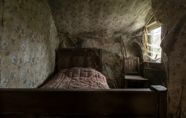 Picture room, bed, window, web