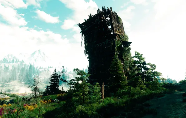 The Witcher, The Witcher 3, Ious