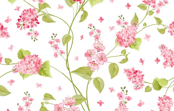 Picture flowers, white background, lilac