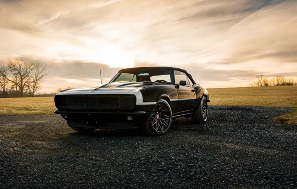 Chevrolet, Camaro, 1968