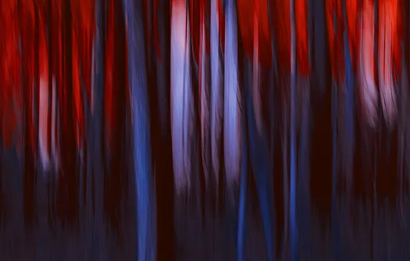 Color, texture, form