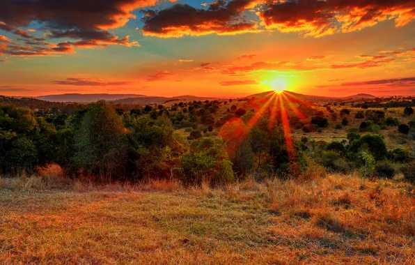 Picture the sky, grass, the sun, clouds, rays, trees, sunset, hills
