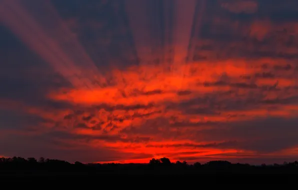 The sky, rays, sunset, red, the evening