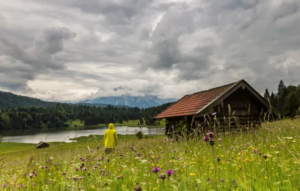 Picture field, people, meadow, house