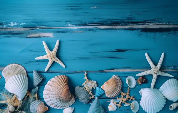 Board, shell, shell, starfish, blue background, composition, AI art, neural network