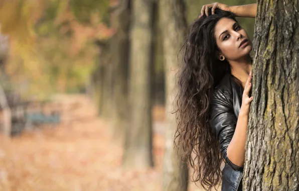 Autumn, face, tree, model, hair, Joanna