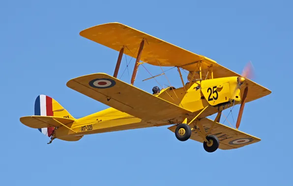 The plane, Airshow, club, military, collection, biplane, historical, private