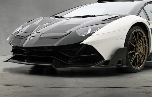 Picture power, supercar, sports car, supercar, Lamborghini Aventador, Mansory, sports car, the only instance