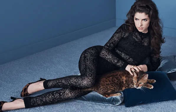 Picture cat, pose, model, pillow, makeup, figure, actress, brunette