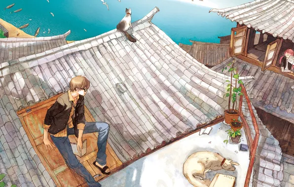 Roof, sea, cat, mood, seagulls, home, anime, guy