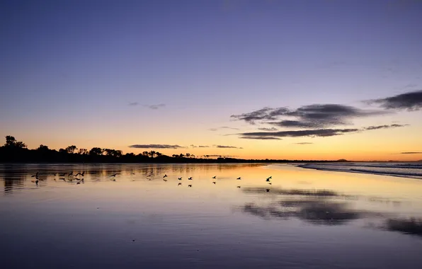 Sea, landscape, sunset, Australia, Victoria, Waratah Bay
