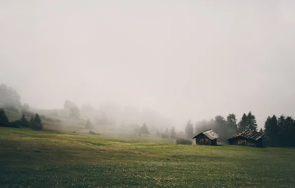 Picture nature, fog, home