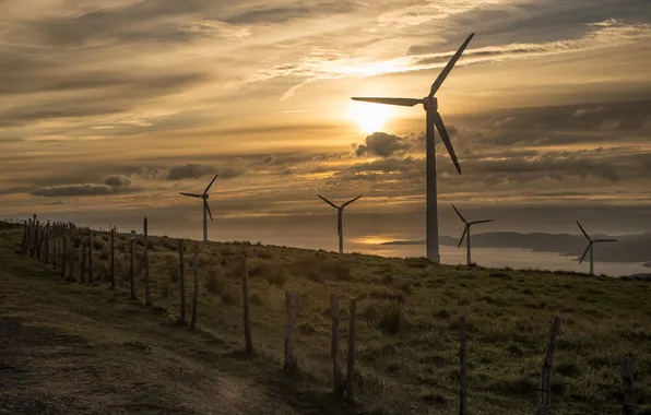 Landscape, sunset, windmills