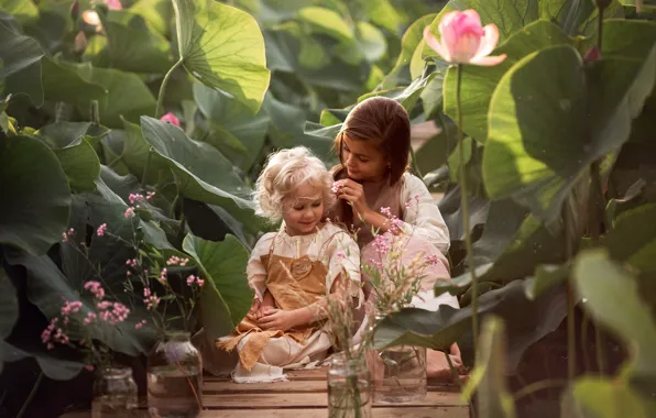 Picture leaves, flowers, nature, children, girls, Board, banks, Lotus