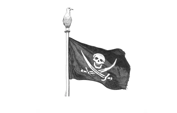 Bird, flag, pirate, flies