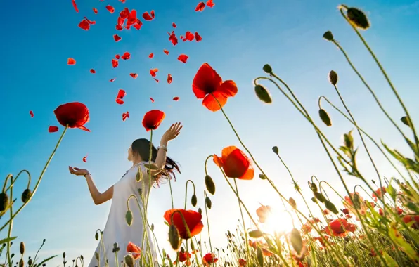 Field, girl, macro, flowers, red, background, widescreen, Wallpaper