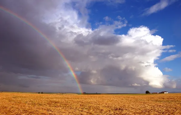 Field, clouds, rainbow