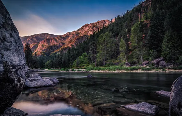 Forest, trees, mountains, river, stones, rocks, the evening, Washington