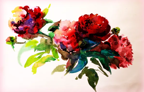 Picture flowers, paper, paint, figure, watercolor, painting, creativity, drawing