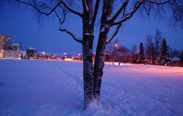 Winter, snow, the city, Alaska, Anchorage, Night Falls on the Park Strip