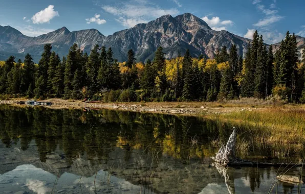 Landscape, nature, Canada, Albert, canada, alberta