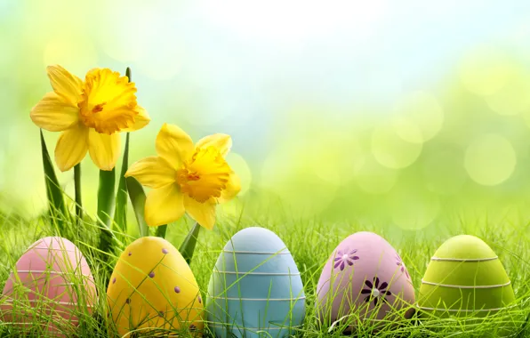 Picture grass, flowers, eggs, spring, meadow, Easter, grass, sunshine