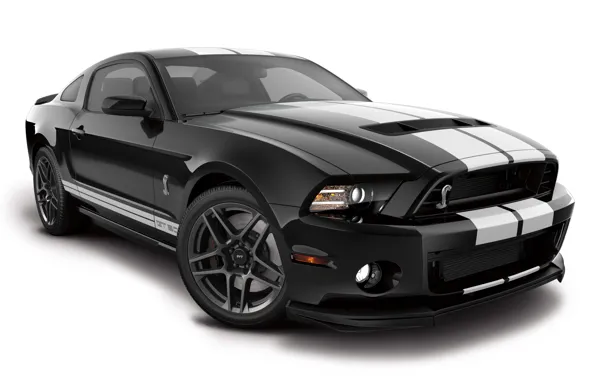 Shelby, GT500, ford, Ford