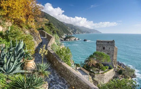 Sea, tower, Italy, Monterosso al Mare, Liguria