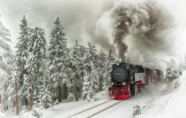 Picture winter, snow, trees, smoke, rails, train, the engine, ate