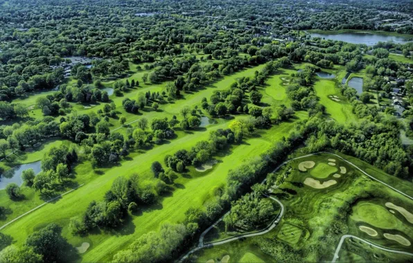 Wallpaper, golf, tree