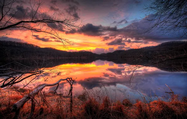 Picture forest, the sky, water, clouds, trees, sunset, branches, lake