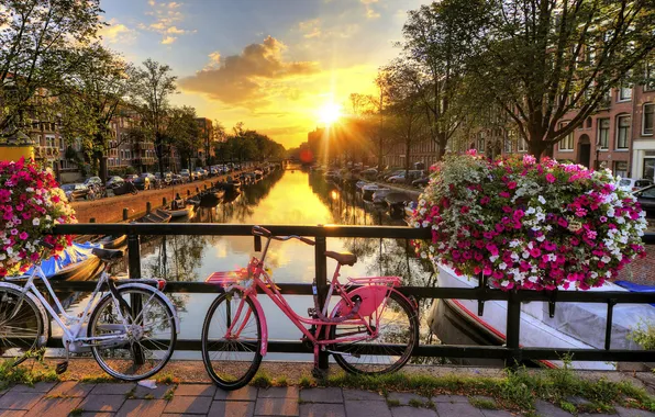Picture the sun, sunset, flowers, bridge, bike, the city, fence, Amsterdam