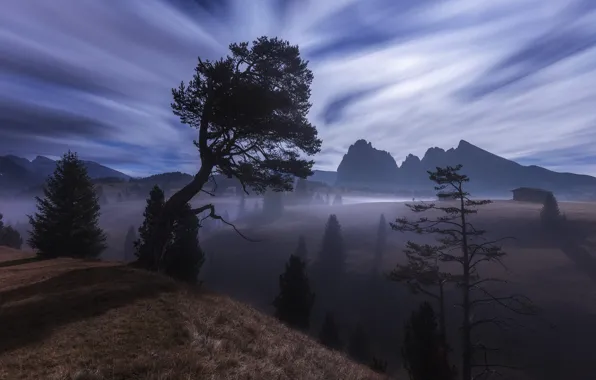 The sky, clouds, mountains, fog, the atmosphere, Alps, twilight, pine