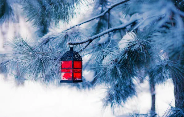 Winter, snow, tree, new year, Christmas, lantern