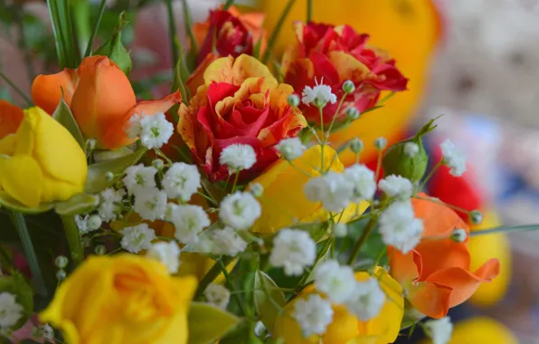 Flowers, Bouquet, Roses, Flowers, Roses, Bouquet, gypsophila