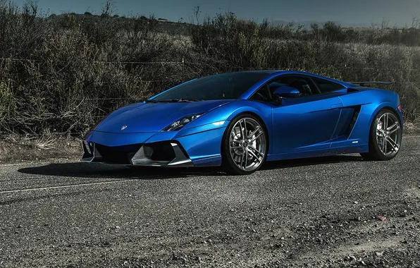 Picture gallardo, lamborghini, blue, Lamborghini, Gallardo, 2015