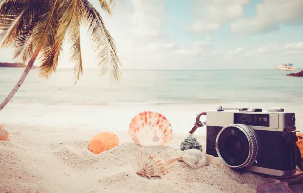 Sand, Sea, Beach, Palma, The camera, Shell
