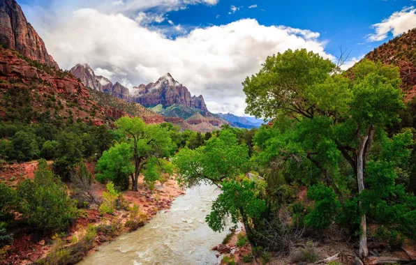 Trees, landscape, mountains, nature, river