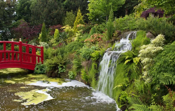 Greens, bridge, pond, Park, waterfall, UK, the bushes, Mount Pleasant gardens