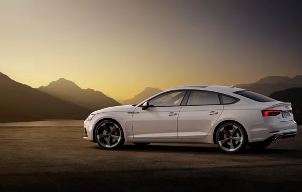 Picture Audi, Audi A5, side view, 2019, S5 Sportback
