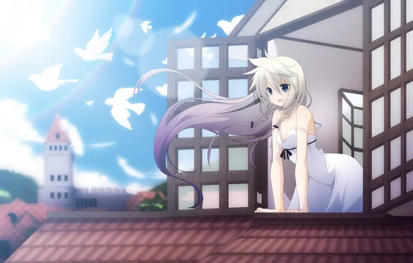 Picture girl, birds, the city, the wind, window, art, vocaloid, Vocaloid