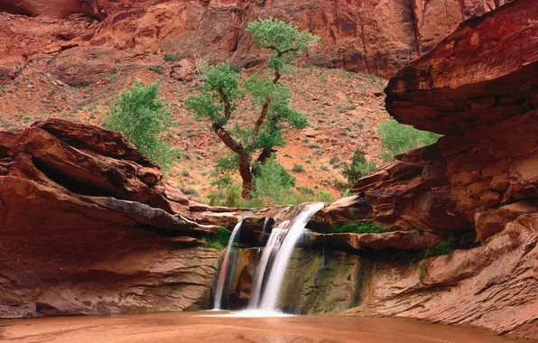 Trees, stones, rocks, waterfall, canyon