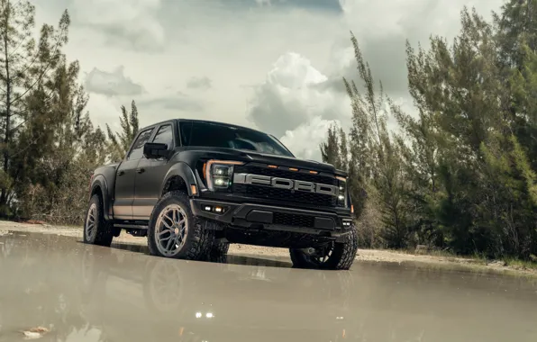 Ford, Black, Water, Pickup, Forest, Ford F-150