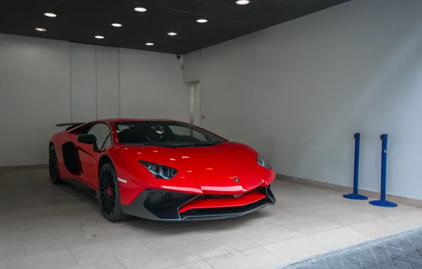 Picture Lamborghini, Red, Aventador, LP-750-4, SV