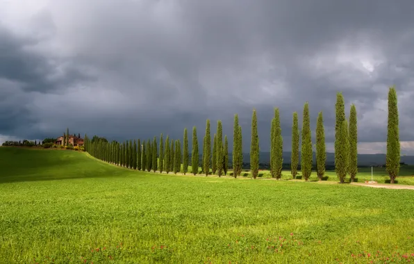 Wallpaper road, field, home