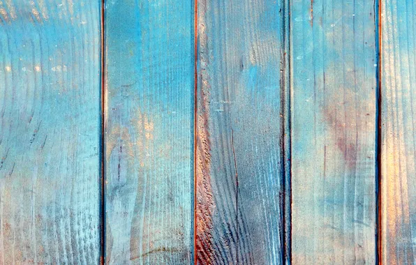 Color, structure, Wood